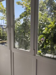 ��������� �������� ����������, �������������, ���������, ������, 28 ���� 5