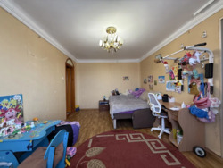 ��������� �������� 101 �������, ���������, �������������, ���������� ���� 17
