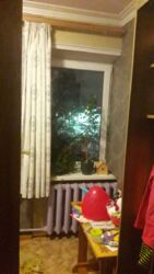 ��������� �������� ����������������, ������, ��������� ��., ��������� ��., 12 ���� 4