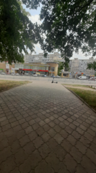   , , -4,  ., 12  9
