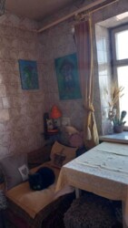 ��������� �������� ������� �����, ���������, �������������, ���������� ���� 12