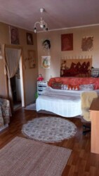 ��������� �������� ������� �����, ���������, �������������, ���������� ���� 24