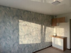 �����‑�������� � ������ ������ ���� 5