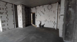 ��������� �������� ����������������, ������, �����������, ������ ��., 15 ���� 1