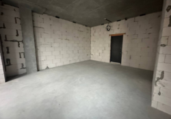   , , ,  .  6