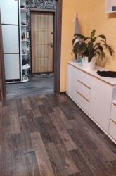 ������ 2������� �������� ����������� ���������� �� ���������� ��� ������� 13 ���� 5