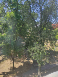   , , ,  ., 53  3