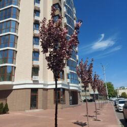 ��������� �������� ����������, �������������, ��������� ���� 6