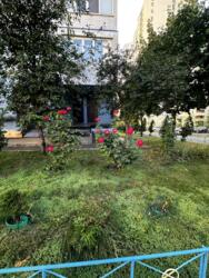 ��������� �������� ����������� ��., 6�, ���, ����������, ������� ���� 12