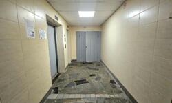 ��������� �������� ������ �����., 95, ���, ������������� ���� 13