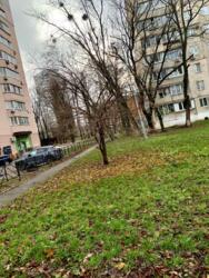 ��������� �������� ���� ������� �����., 9, ���, �������������, ���������� ���� 15