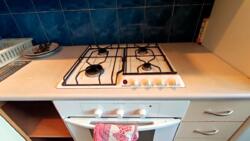 ��������� �������� ������ ����������� ��., ���, ������������, �������� ���� 12