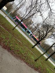 ��������� �������� ���� ������� �����., 9, ���, �������������, ���������� ���� 13