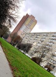 ��������� �������� ���� ������� �����., 9, ���, �������������, ���������� ���� 19