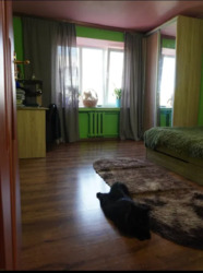 ��������� �������� ³�����, ³�������, ������� ���� 4