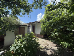 ��������� �������� ³�����, ³�������, �������� ���� 11