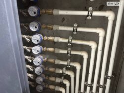 ��������� �������� ��������, ³�����, ³�������, ������� ���� ���� 8