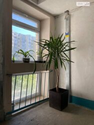 ��������� �������� ³�����, ³�������, ������ ���� 20