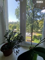 ��������� �������� ³�����, ³������� ���� 7