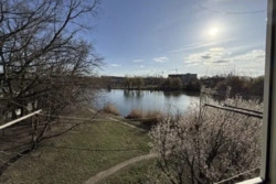 ��������� �������� ³�����, ³�������, ������ ���� 11