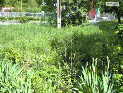 ��������� �������� ³�����, ³�������, ������� ���� 14