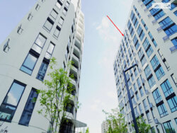 ��������� �������� ³�����, ³�������, �������� ���� 2