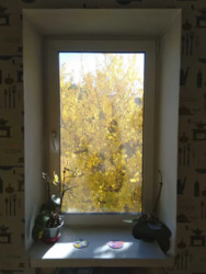 Продається квартира Вінниця, Вінницька, Свердловський масив фото 2 Продається квартира Вінниця, Вінницька, Свердловський масив фото 2