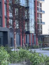 ��������� �������� ����. ���������, ³�����, ³�������, ����� ���� 18