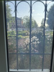 ��������� �������� ³�����, ³�������, ������������� ���� 13