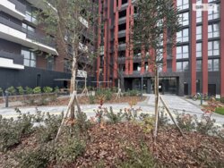 ��������� �������� ³�����, ³�������, ����� ���� 5