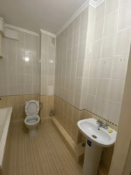 ��������� �������� ³�����, ³�������, �������� ���� 6