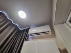 ��������� �������� ³�����, ³�������, ���������� ���� 19