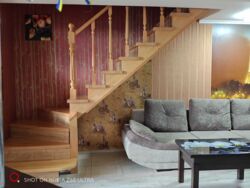 ��������� �������� ³�����, ³�������, ������ ���� 8