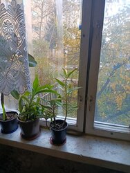 Продається квартира Вінниця, Вінницька фото 15 Продається квартира Вінниця, Вінницька фото 15