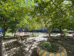 ��������� �������� ³�����, ³�������, ������ ���� 13