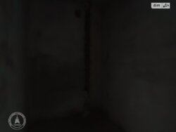 ��������� �������� ³�����, ³�������, ����������� ���� 8