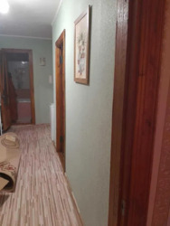 ��������� �������� ³�����, ³�������, ����`���� ���� 13