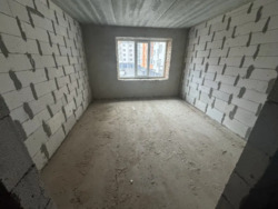 ��������� �������� ���������� ����, ³�����, ³�������, ����������� ���� 8