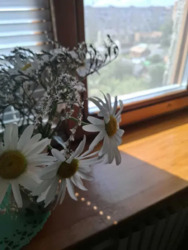 ��������� �������� ³�����, ³�������, ����`���� ���� 15