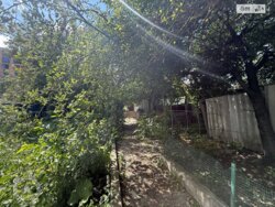 ��������� �������� ³�����, ³�������, �������� ���� 19