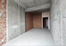 ��������� �������� ��-� ����������, ³�����, ³�������, ���������� ���� 8