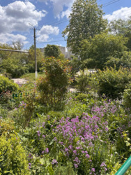 ��������� �������� ³�����, ³�������, �볺��� ���� 10