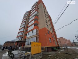 ��������� �������� ³�����, ³������� ���� 19