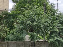 Продається квартира вул. Праведників світу, Вінниця, Вінницька, Корея фото 10 Продається квартира вул. Праведників світу, Вінниця, Вінницька, Корея фото 10