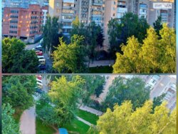 ��������� �������� ³�����, ³�������, ����`���� ���� 19