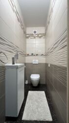 ��������� �������� ³�����, ³�������, ���������� ���� ���� 19