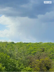 ��������� �������� ³�����, ³�������, ������� ���� 11