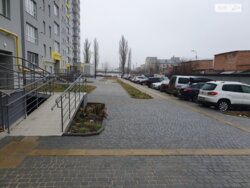 ��������� �������� ³�����, ³�������, ������� ���� 8