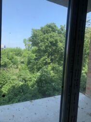 ��������� �������� ³�����, ³�������, ������� ���� ���� 6