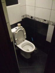 ��������� �������� ³�����, ³�������, ������� ���� 8